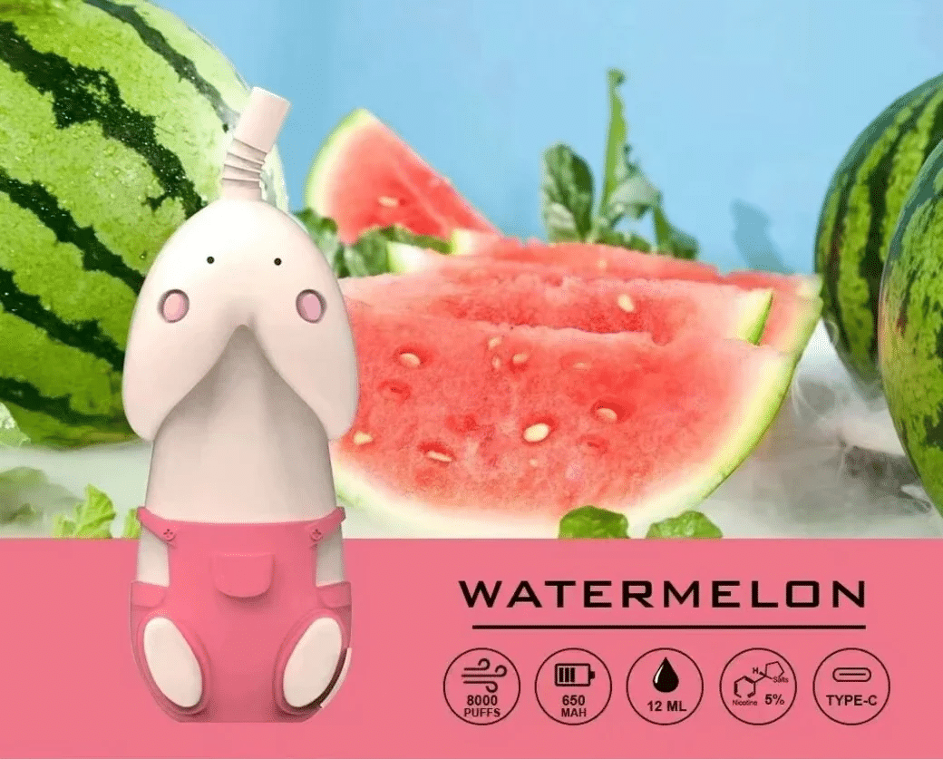 พอต-น่ารักๆ-hikevape-m8-disposable-8000-puffs-flavor