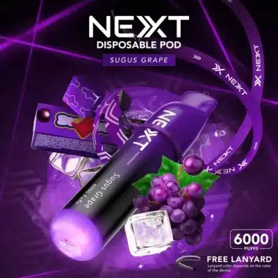 Next 6000 puffs กลิ่นซูกัสองุ่น
